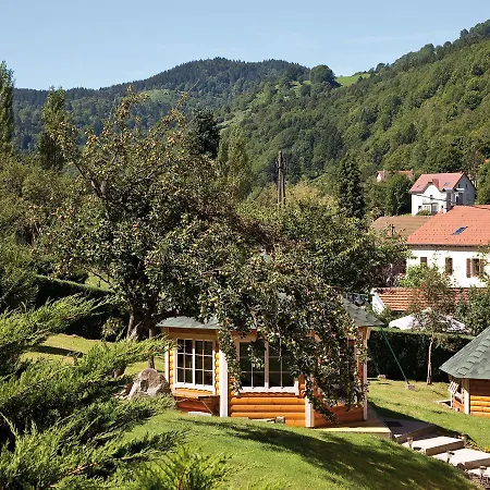 Beautiful Chalet In With Sauna La Bresse